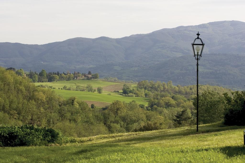 Tenuta Il Cerro Vicchio Kamer foto