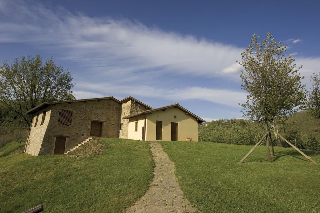 Tenuta Il Cerro Vicchio Kamer foto